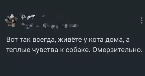 продолжение Смешная картинка №675399 Животные