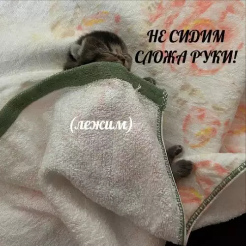 Смешная картинка №740706