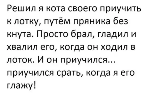 Смешная картинка №184013 коты