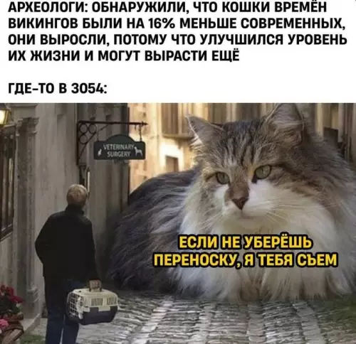 Смешная картинка №785070