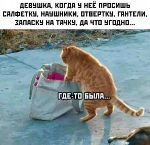 Смешная картинка №796069