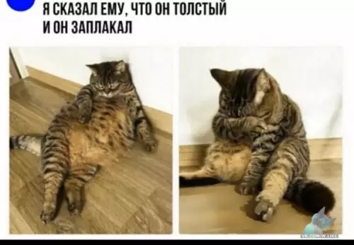 Смешная картинка №404964