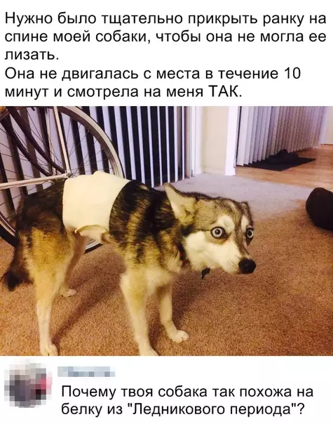 Смешная картинка №349416