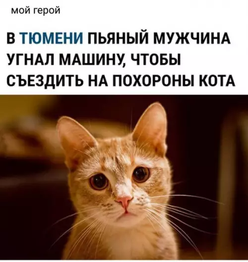 Смешная картинка №276295