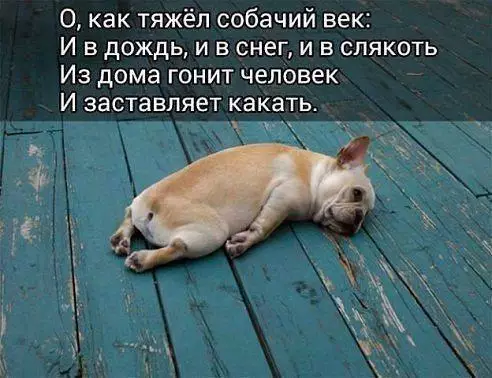 Смешная картинка №225512