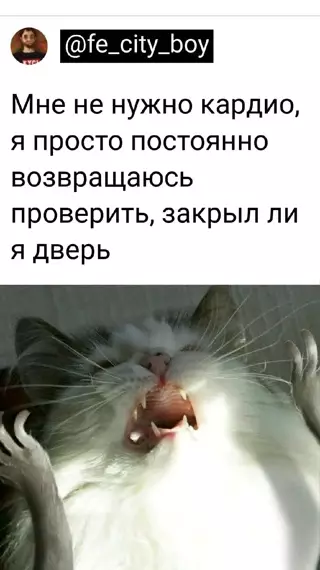 Смешная картинка №650910