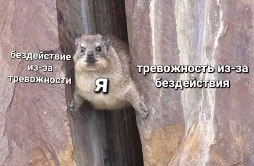 Смешная картинка №773509