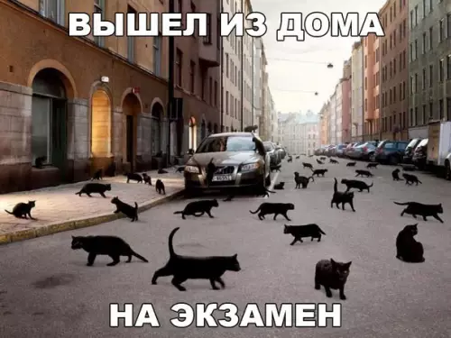 Смешная картинка №274042