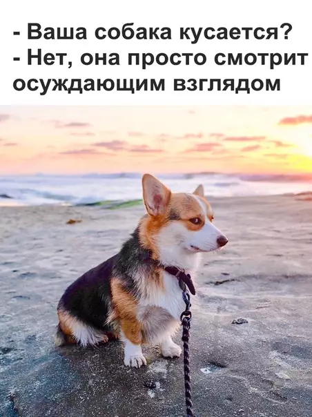 Смешная картинка №324223