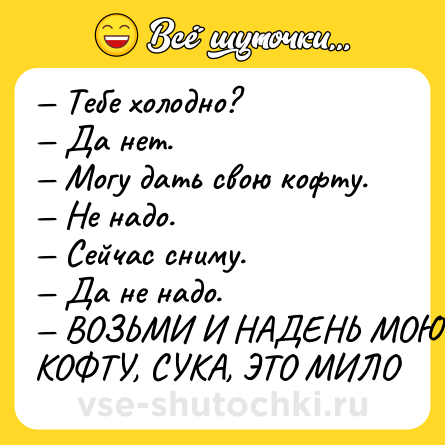 Шутка: — Тебе холодно?<br>— Да нет.<br>— Могу дать свою кофту.<br>— Не надо.<br>— Сейчас сниму.<br>— Да не надо.<br>— ВОЗЬМИ И НАДЕНЬ МОЮ КОФТУ, СУКА, ЭТО МИЛО
