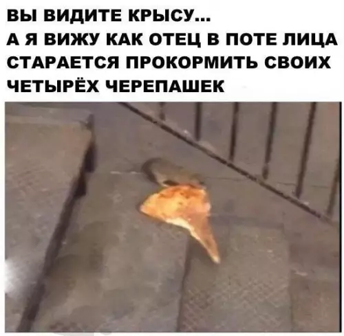 Смешная картинка №263241