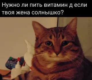 Смешная картинка №673035 Boпpoc дня