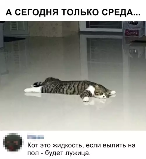 Смешная картинка №347072