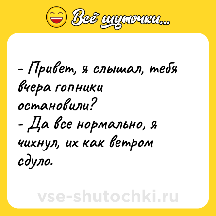 Шутка: - Привет, я слышал, тебя вчера гопники остановили?<br>- Да все нормально, я чихнул, их как ветром сдуло.