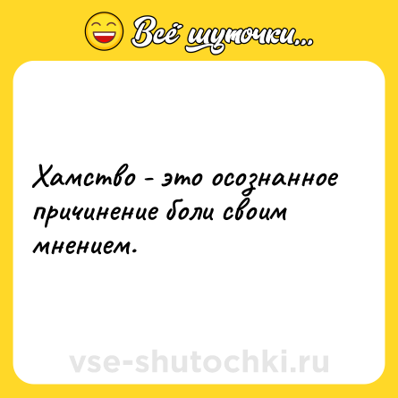 Шутка: Хамство - это осознанное причинение боли своим мнением.