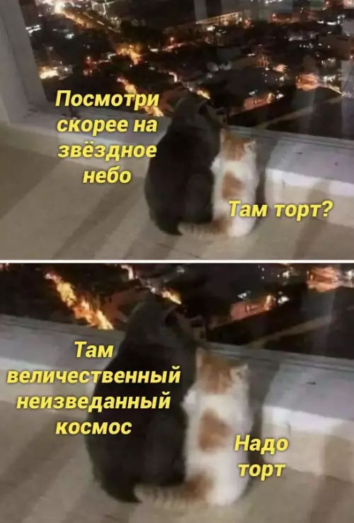 Смешная картинка №662786