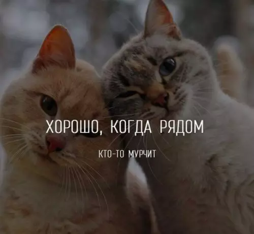 Смешная картинка №217945