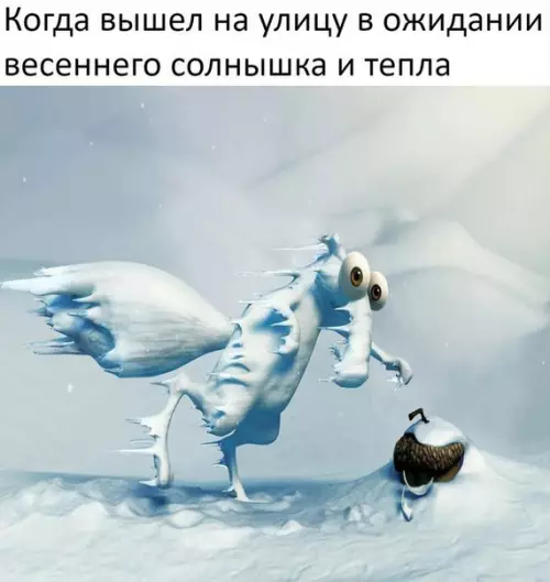 Смешная картинка №255902