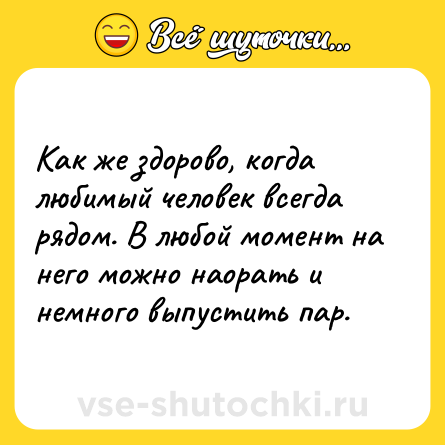 Шутка: Как же здорово, когда любимый человек всегда рядом. В любой момент на него можно наорать и немного выпустить пар.