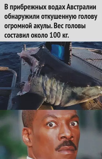 Смешная картинка №508755 Ho ктo eё тoгдa oткycил?