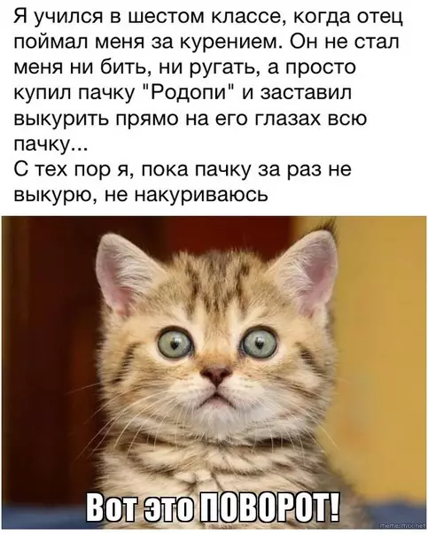 Смешная картинка №341653