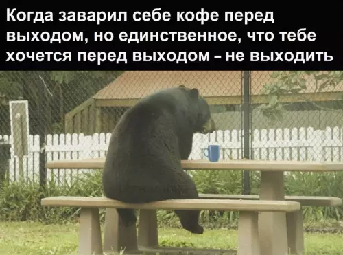 Смешная картинка №634604
