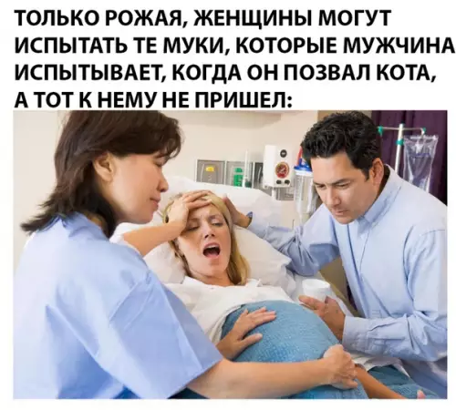 Смешная картинка №296024