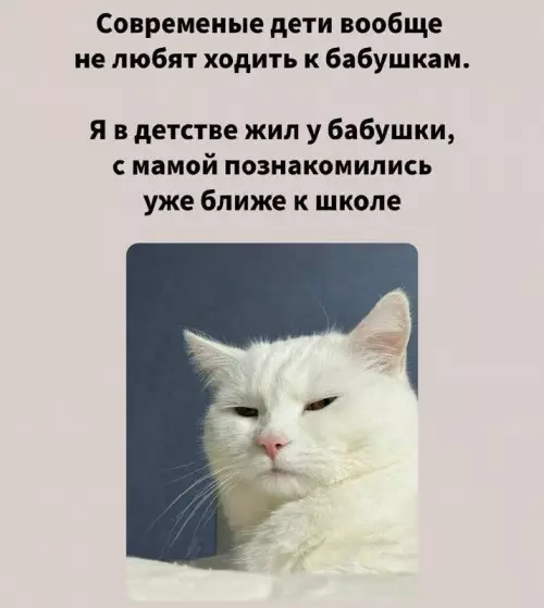 Бабушкин котейка в шоке 🙀 - Современные дети вообще не любят ходить к бабушкам. Я в