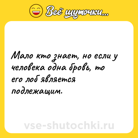 Шутка: Мало кто знает, но если у человека одна бровь, то его лоб является подлежащим.