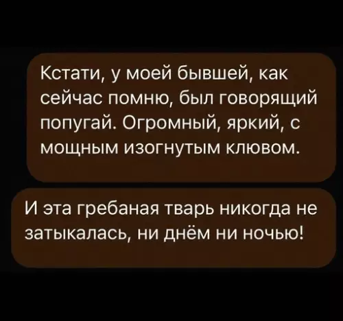 Смешная картинка №654367