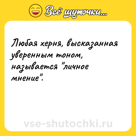 Шутка: Любая херня, высказанная уверенным тоном, называется 