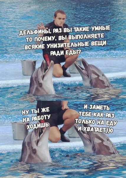 Смешная картинка №294898
