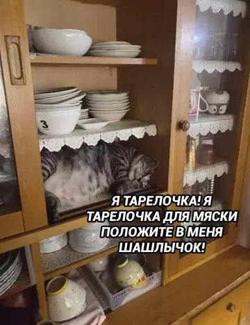 Смешная картинка №759548