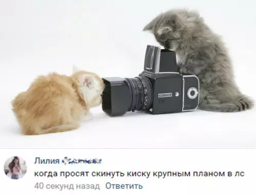 Смешная картинка №223507