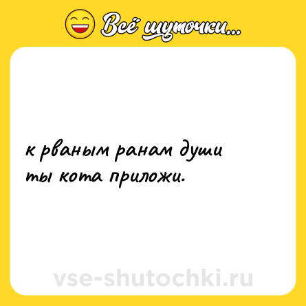 Шутка: к рваным ранам души<br>ты кота приложи.