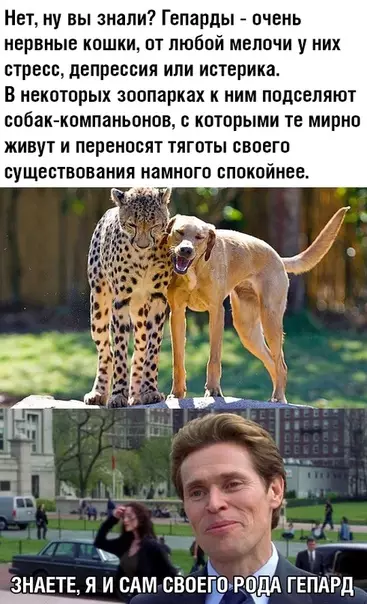 Смешная картинка №481988