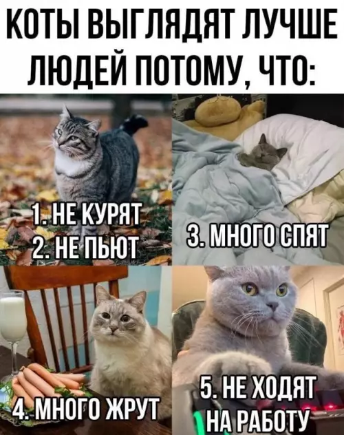 Смешная картинка №688761