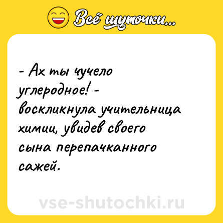 Шутка: - Ах ты чучело углеродное! - воскликнула учительница химии, увидев своего сына перепачканного сажей.