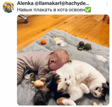 Малыш и кот: смешные моменты