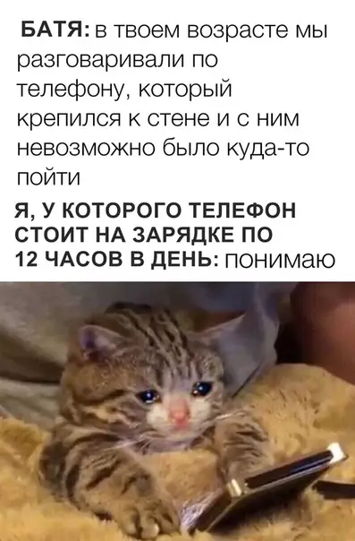 Смешная картинка №325130