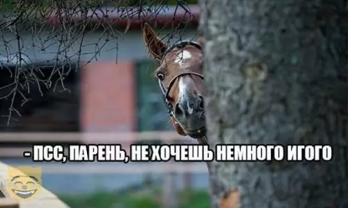 Смешная картинка №331069