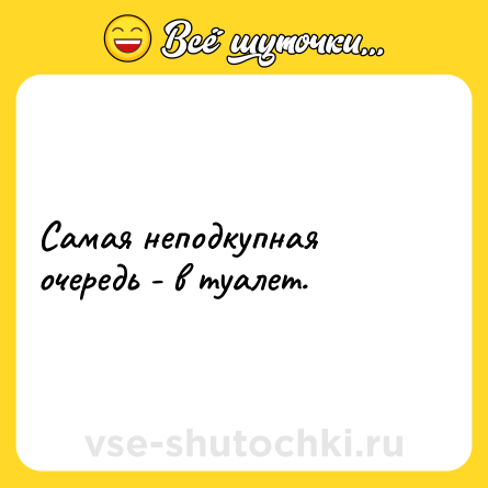 Шутка: Самая неподкупная очередь - в туалет.