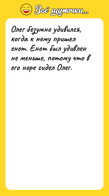 Олег безумно удивился, когда к нему пришел енот. Енот был