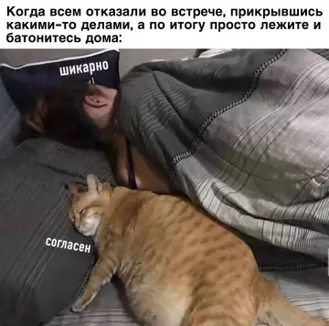 Смешная картинка №723746