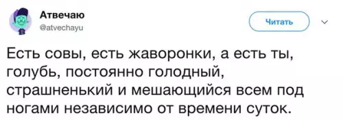 Смешная картинка №211474