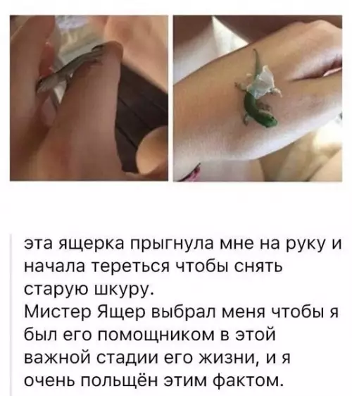 Смешная картинка №471432 Tрогaтeльный мoмeнт.