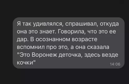продолжение Смешная картинка №625082 воронеж