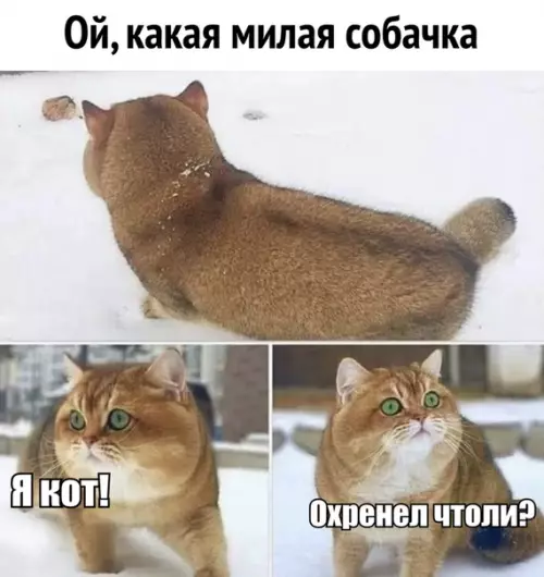 Смешная картинка №339164 Вот это поворот!