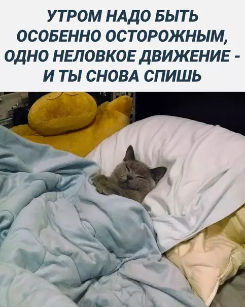 Смешная картинка №614688 утро