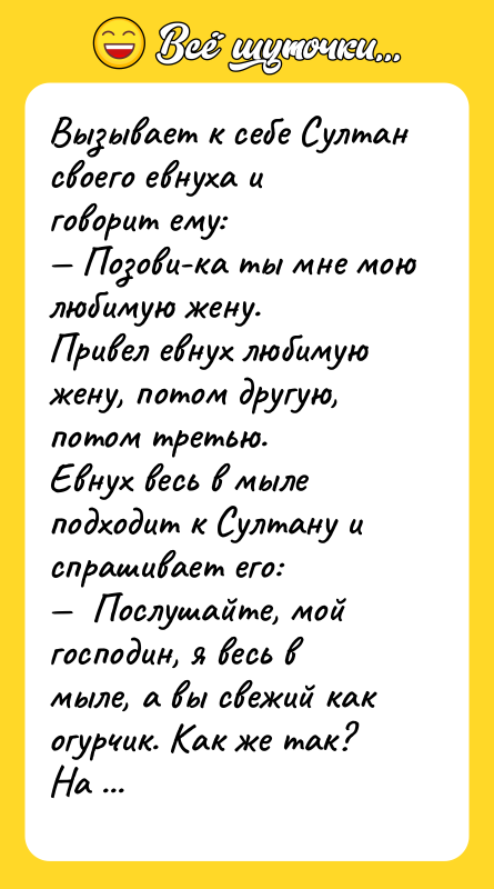 Вызывает к себе Султан своего евнуха и говорит ему: —